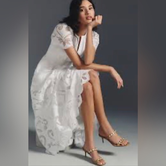 ANTHROPOLOGIE - Somerset Dress! Size medium. Stunning 💗 - Picture 4 of 8